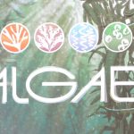 Algae Inc.